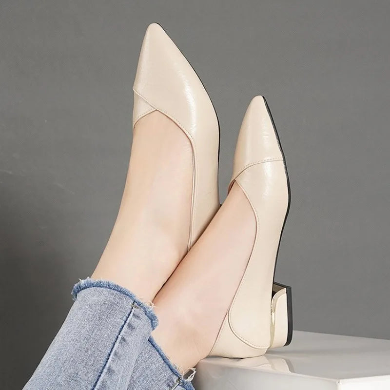 2026 Spring and Autumn New Pointed Toe Single Shoes Women Thick Heel Shallow Mouth Professional All-match Women's Leather Shoes