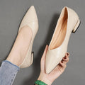 2026 Spring and Autumn New Pointed Toe Single Shoes Women Thick Heel Shallow Mouth Professional All-match Women's Leather Shoes