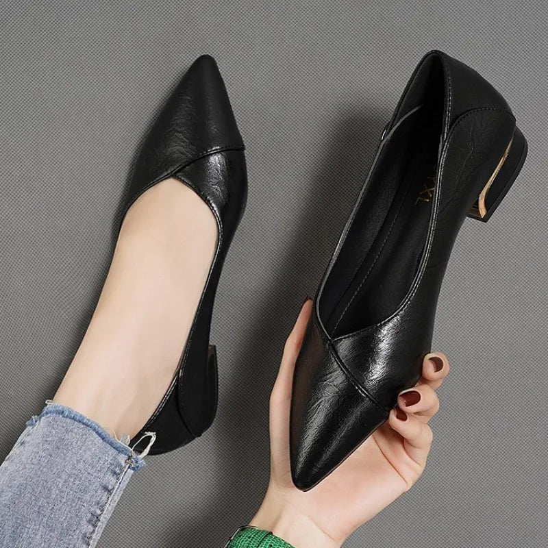 2026 Spring and Autumn New Pointed Toe Single Shoes Women Thick Heel Shallow Mouth Professional All-match Women's Leather Shoes